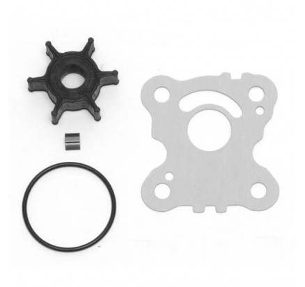 Ремкомплект помпы лодочного мотора  Honda  BF10D , BF15D , BF20D (06192-ZW9-000)